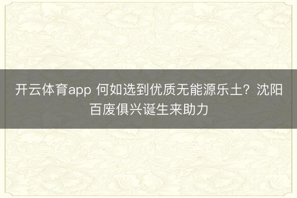 开云体育app 何如选到优质无能源乐土？沈阳百废俱兴诞生来助力